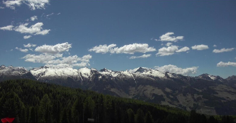 Webcam Bellamonte-Alpe Lusia  - Lagorai