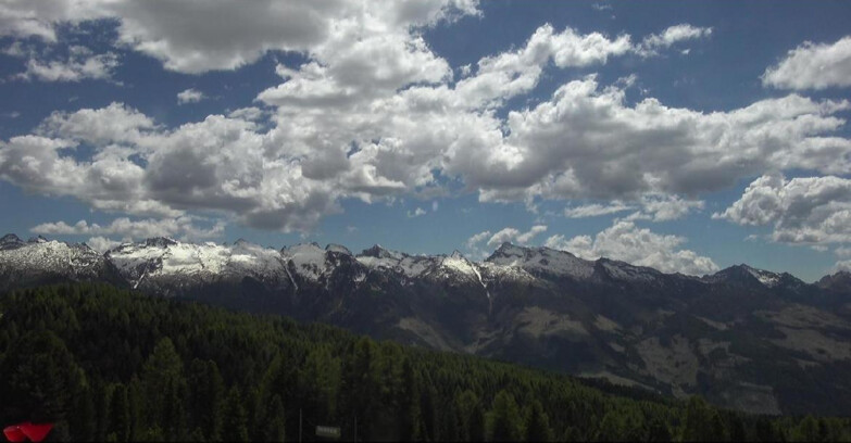 Webcam Bellamonte-Alpe Lusia  - Lagorai