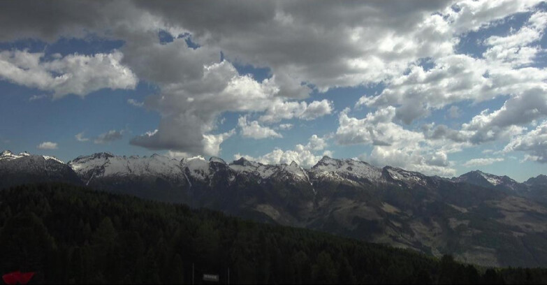 Webcam Bellamonte-Alpe Lusia  - Lagorai