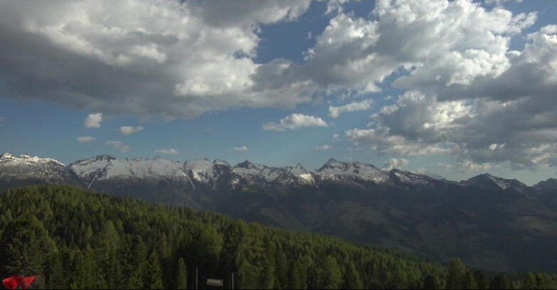 Webcam Bellamonte-Alpe Lusia  - Lagorai