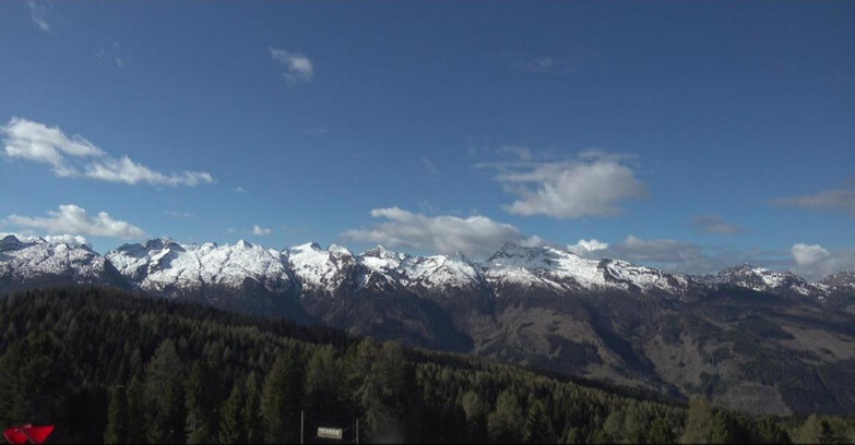 Webcam Bellamonte-Alpe Lusia  - Lagorai
