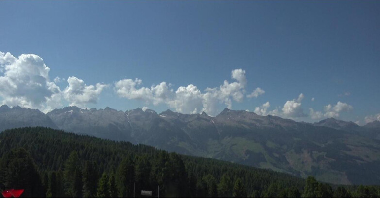 Webcam Bellamonte-Alpe Lusia  - Lagorai