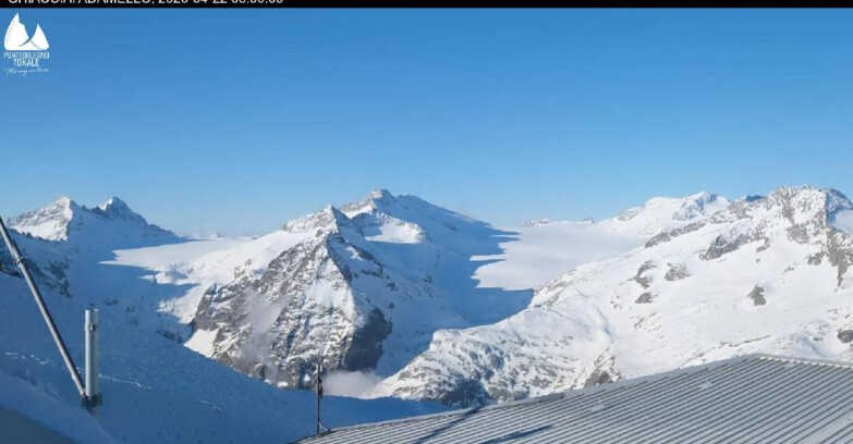 Webcam Ghiacciaio Presena - Presena Tonale