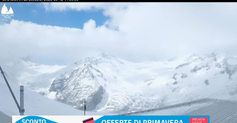 Webcam Ghiacciaio Presena - Presena Tonale