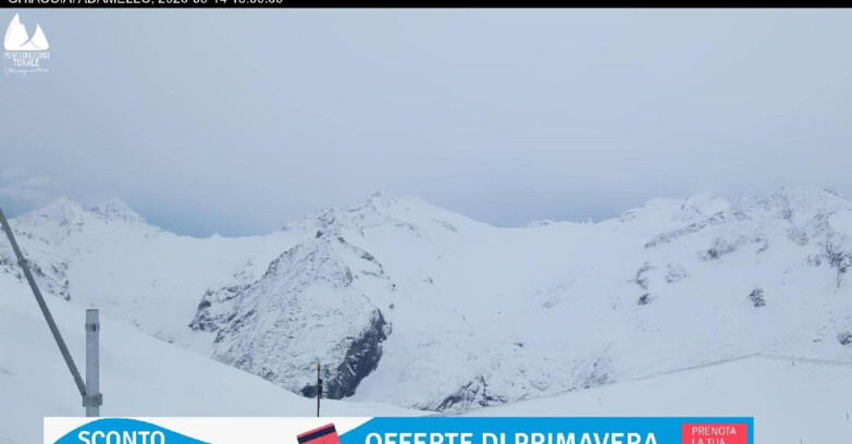 Webcam Presena Glacier  - Presena glacier - Tonale