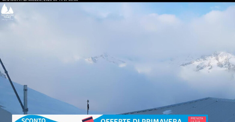 Webcam Presena Glacier  - Presena glacier - Tonale