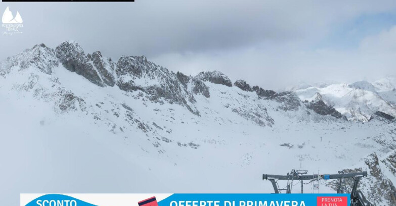Webcam Gletscher Presena - Pista Paradiso - Presena Tonale