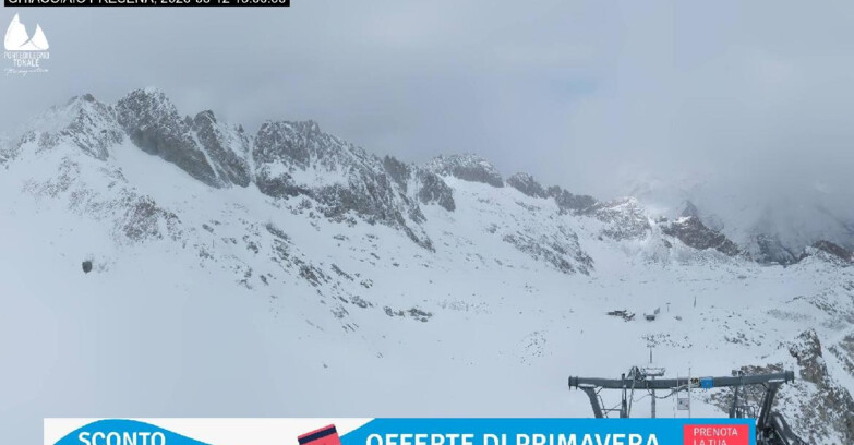 Webcam Gletscher Presena - Pista Paradiso - Presena Tonale