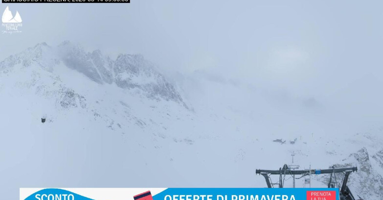 Webcam Ghiacciaio Presena - Veduta Pista Paradiso - Presena Tonale