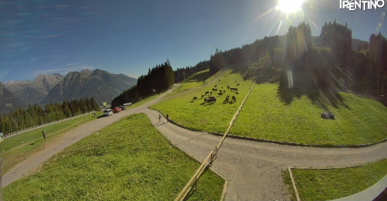Webcam Pinzolo - Pinzolo - Dolomiti di Brenta 