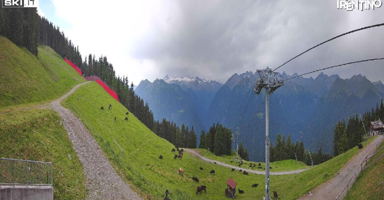 Webcam Pinzolo - Pinzolo - Carè Alto 