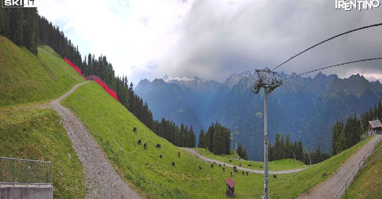Webcam Pinzolo - Pinzolo - Carè Alto 