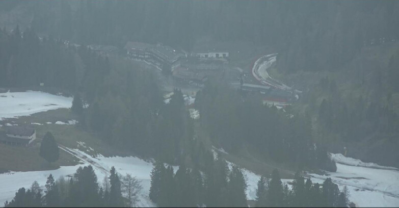 Webcam Пампеаго - Предаццо - Оберегген	 - Piste Pampeago