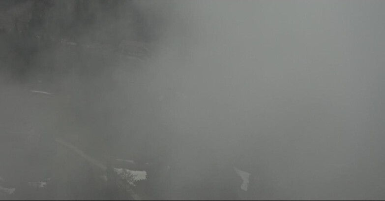 Webcam Pampeago  - Predazzo -  Obereggen - Piste Pampeago