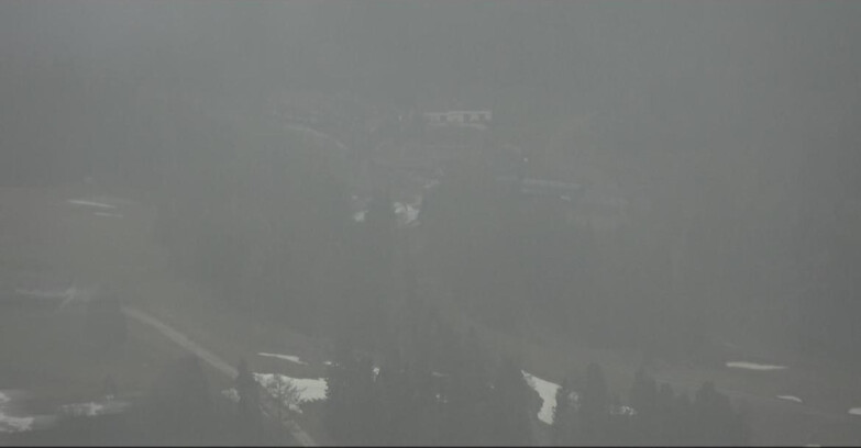 Webcam Pampeago  - Predazzo -  Obereggen - Piste Pampeago
