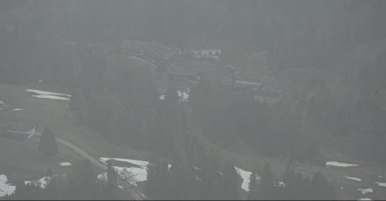 Webcam Pampeago  - Predazzo -  Obereggen - Pampeago Piste