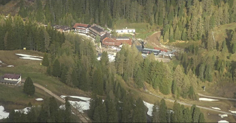 Webcam Pampeago  - Predazzo -  Obereggen - Piste Pampeago