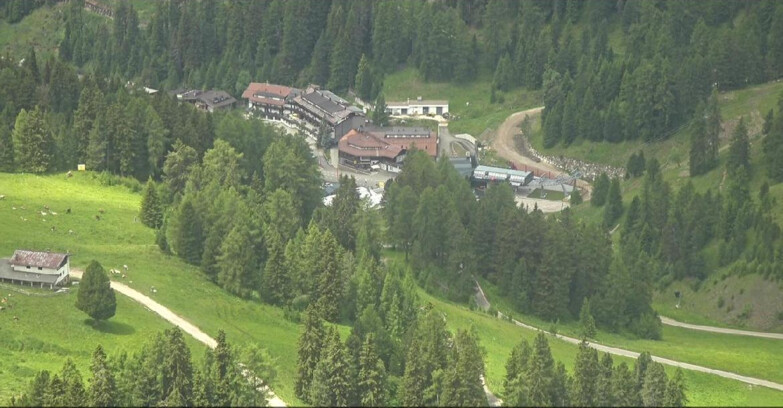 Webcam Pampeago  - Predazzo -  Obereggen - Piste Pampeago 