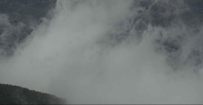 Webcam Alpe Cermis  - Cavalese