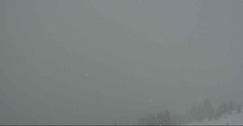 Webcam Alpe Cermis - Bassa Val di Fiemme 