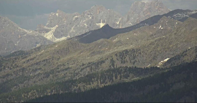 Webcam Alpe Cermis - Palagruppe