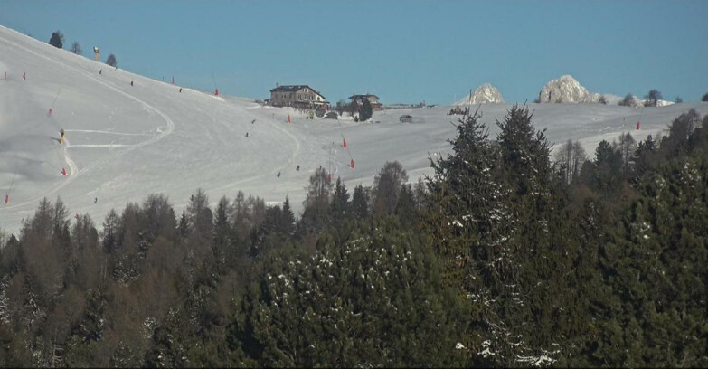 Webcam Bellamonte-Alpe Lusia - Pista Dolomitica