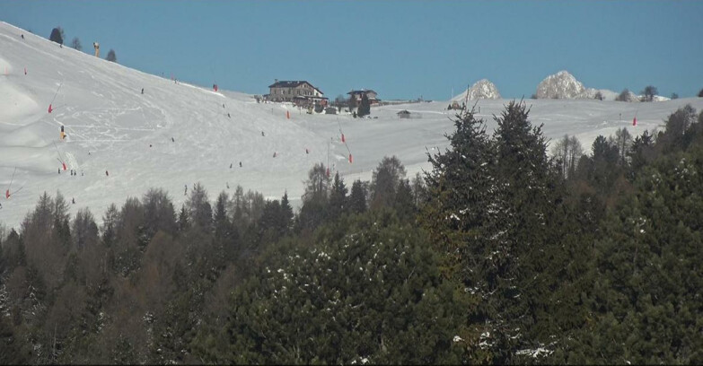 Webcam Bellamonte-Alpe Lusia - Pista Dolomitica