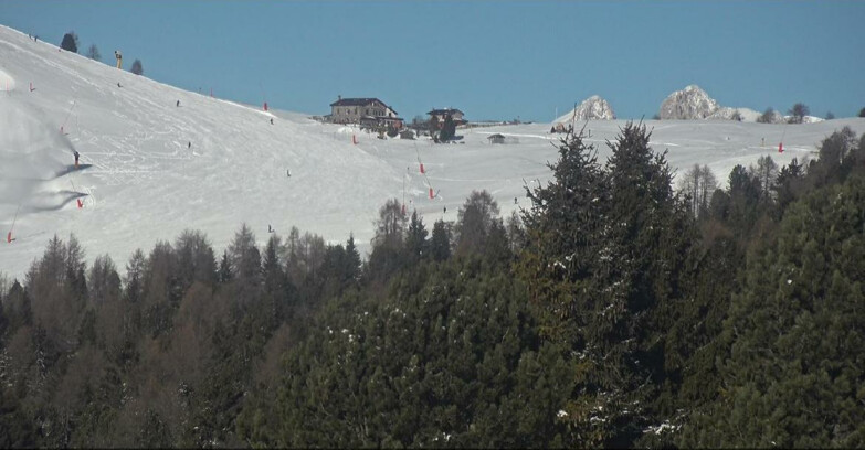 Webcam Bellamonte-Alpe Lusia - Pista Dolomitica