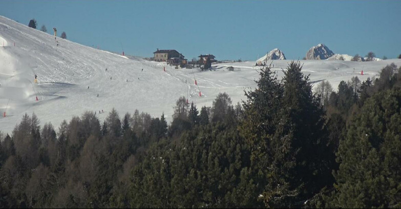 Webcam Bellamonte-Alpe Lusia - Pista Dolomitica