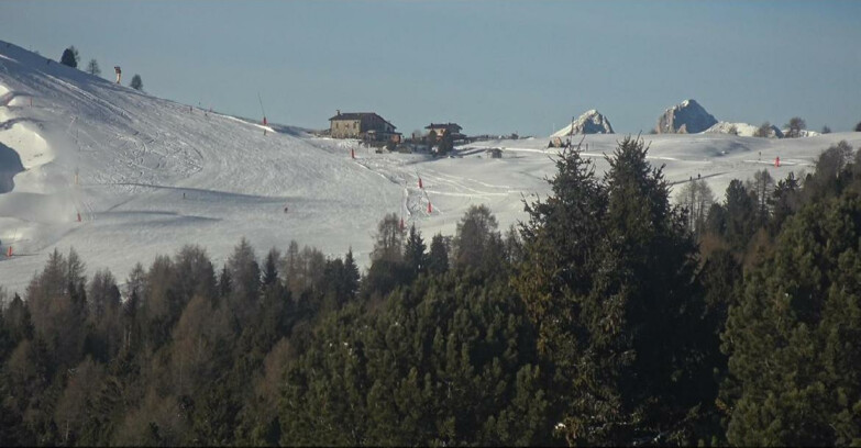 Webcam Bellamonte-Alpe Lusia - Pista Dolomitica