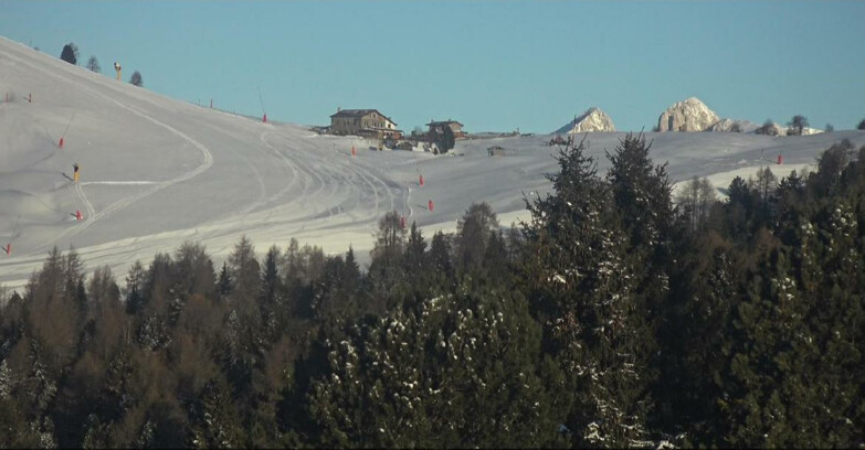 Webcam Bellamonte-Alpe Lusia - Pista Dolomitica