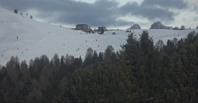 Webcam Bellamonte-Alpe Lusia  - Pista Dolomitica