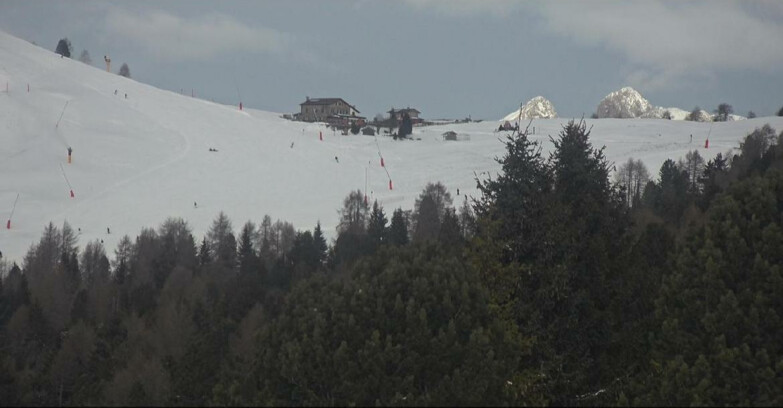 Webcam Bellamonte-Alpe Lusia  - Pista Dolomitica