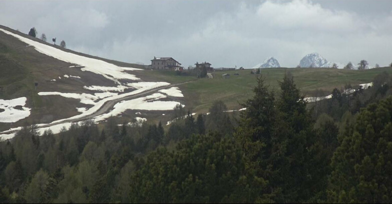 Webcam Bellamonte-Alpe Lusia  - Pista Dolomitica