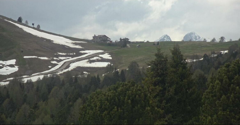 Webcam Bellamonte-Alpe Lusia  - Pista Dolomitica