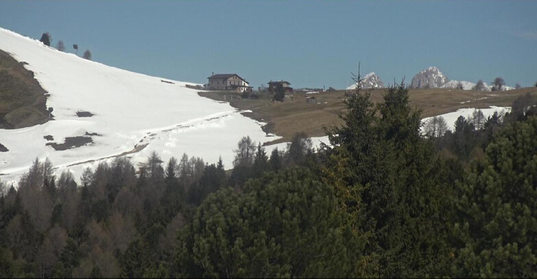 Webcam Белламонте-Альпе-Лусиа  - Pista Dolomitica