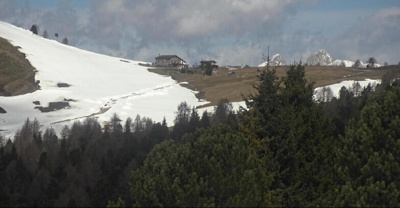 Webcam Белламонте-Альпе-Лусиа  - Pista Dolomitica