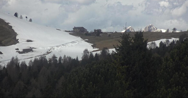 Webcam Белламонте-Альпе-Лусиа  - Pista Dolomitica