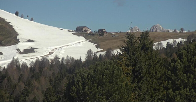 Webcam Bellamonte-Alpe Lusia  - Pista Dolomitica