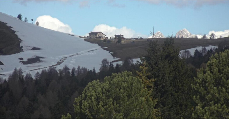 Webcam Bellamonte-Alpe Lusia  - Pista Dolomitica
