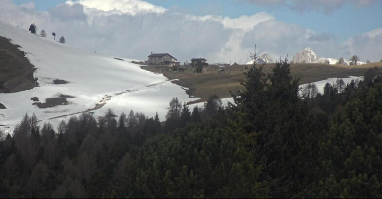 Webcam Bellamonte-Alpe Lusia  - Pista Dolomitica