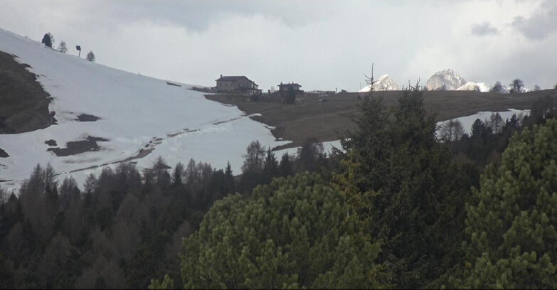 Webcam Bellamonte-Alpe Lusia  - Pista Dolomitica
