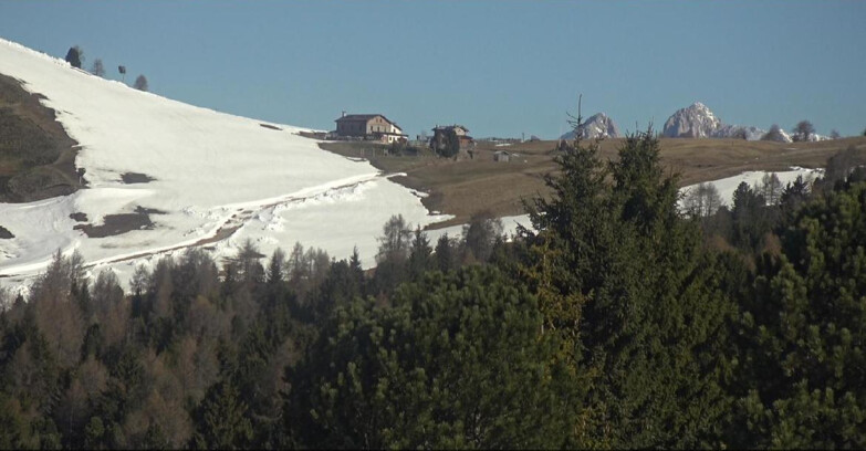 Webcam Bellamonte-Alpe Lusia  - Pista Dolomitica