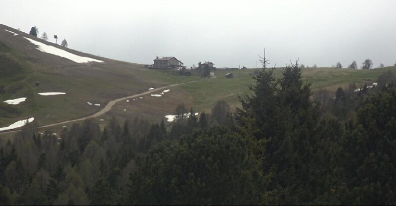 Webcam Bellamonte-Alpe Lusia - Dolomiti slope
