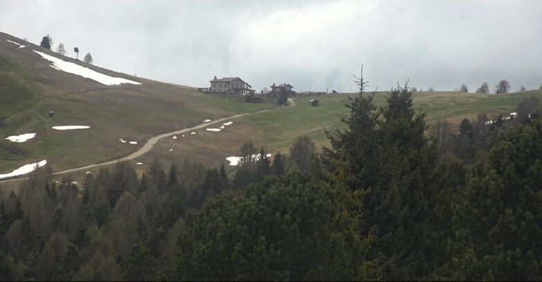 Webcam Bellamonte-Alpe Lusia - Dolomiti slope