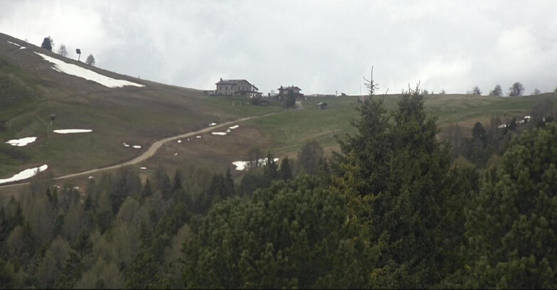 Webcam Bellamonte-Alpe Lusia  - Pista Dolomitica