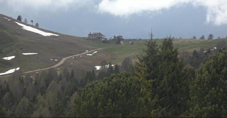 Webcam Bellamonte-Alpe Lusia  - Pista Dolomitica