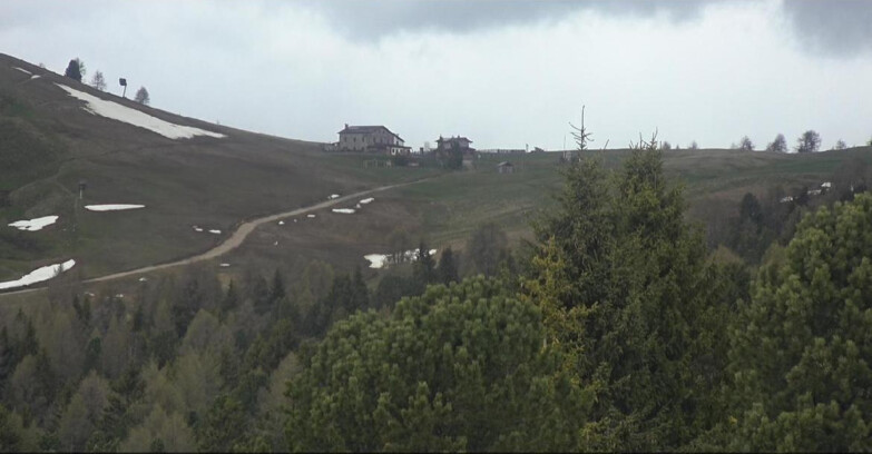 Webcam Bellamonte-Alpe Lusia  - Pista Dolomitica