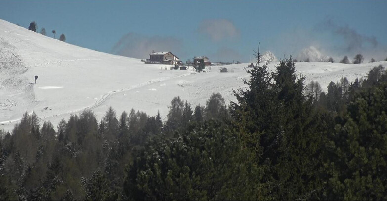 Webcam Bellamonte-Alpe Lusia  - Pista Dolomitica