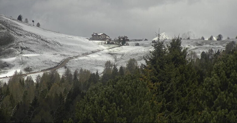 Webcam Bellamonte-Alpe Lusia  - Pista Dolomitica